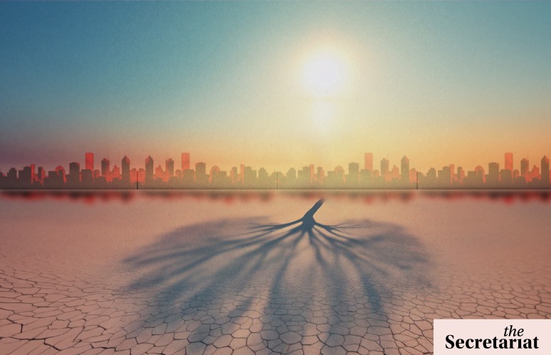 In Heatwave-Hit India, The Missing Trees In Urban Areas Are Making Their Absence Felt