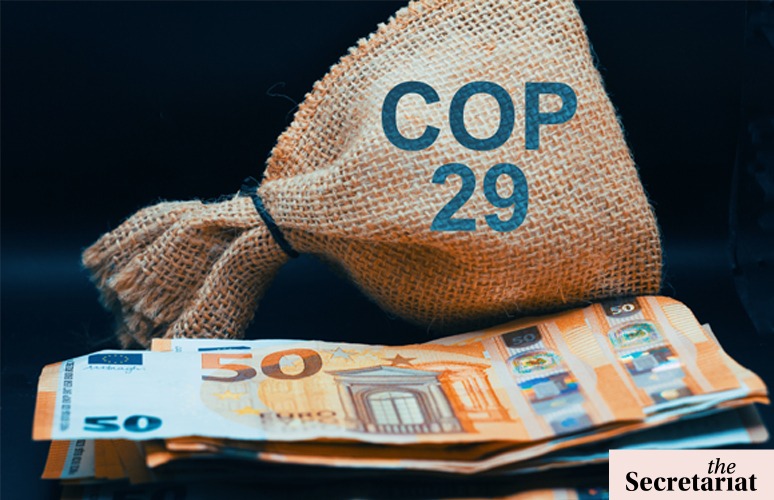Pledges, Cash, Cuts: Will Carbon Markets Deliver After COP29?