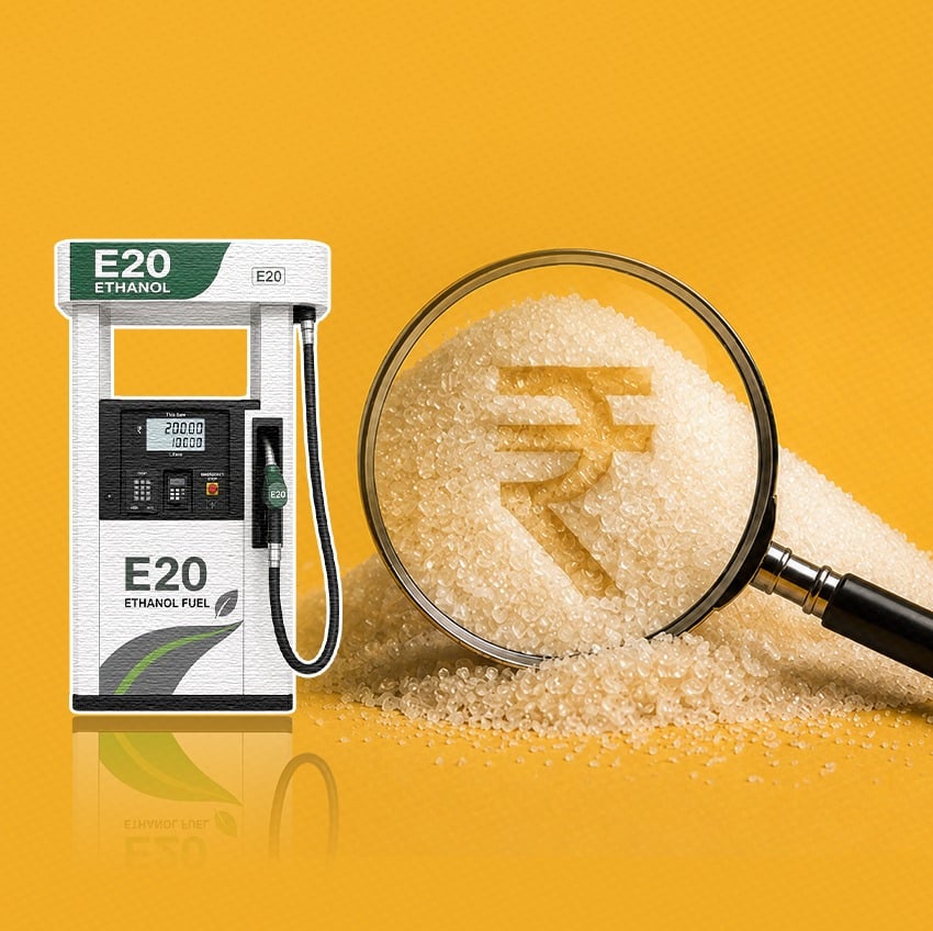 Sugar Production, Sugar, Global Trade, Sugar Imports, Delhi, Festive Season, Ethanol Blending