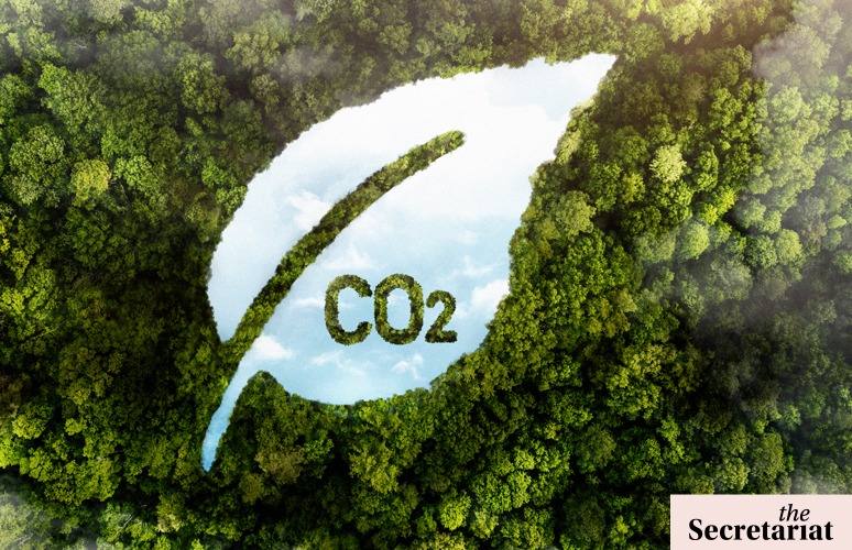 In India's Carbon Trading Scheme, Indigenous Groups Shouldn't Become Pawns For Corporate Interests