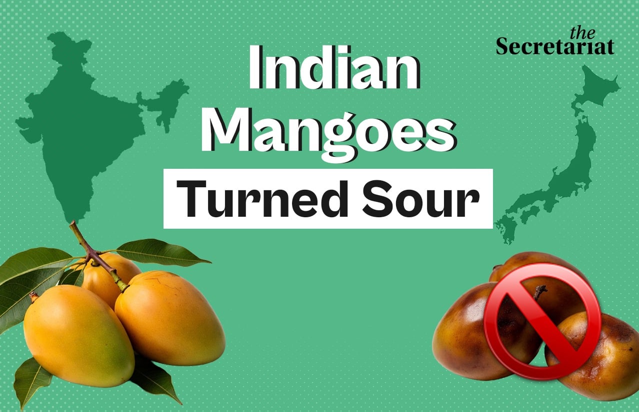 Indian mangoes, Japan mango ban, Indian mangoes rejected by Japan, mango exports to Japan