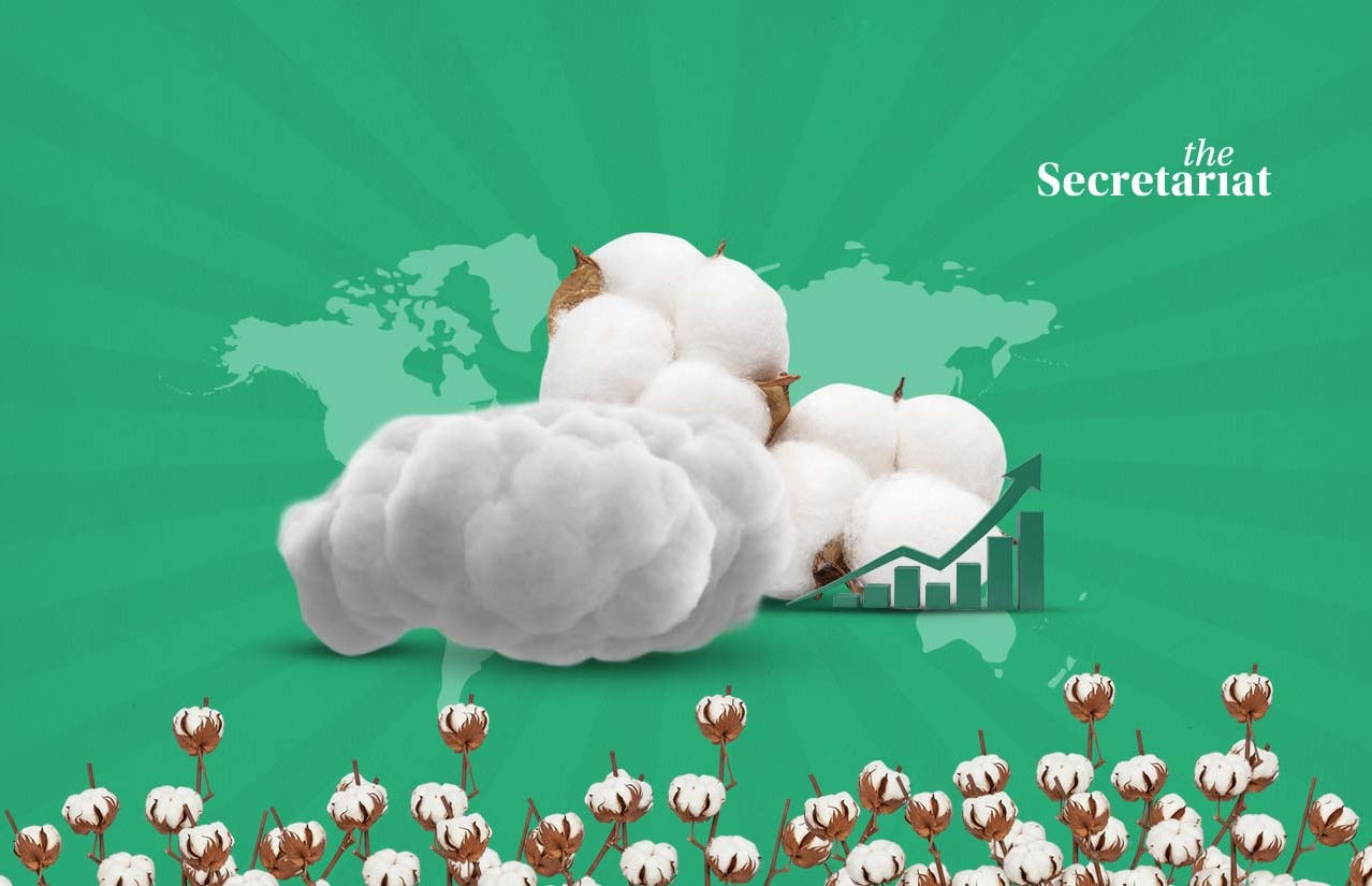 Mission for Cotton Productivity, Cotton Production, Cotton, Cotton Farmers, Cotton Cultivation