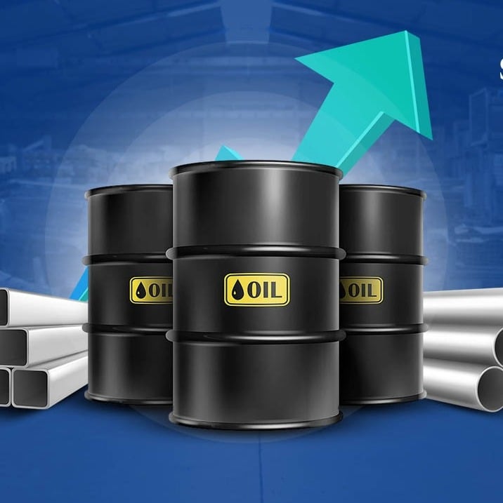 Indian Economy, OPEC, RBI, Crude Oil Price, Rupee Fall, Economic Reforms, Economy