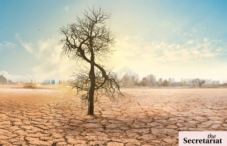 Climate change, Bharat Mehta, climate-smart, agriculture revolution, agri revolution, India farmers