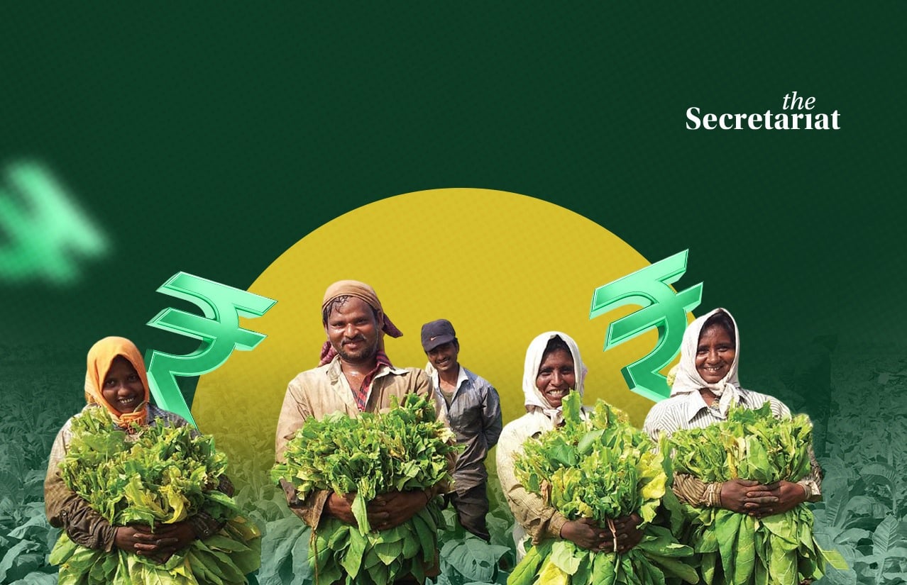 Tobacco, Cigarettes, Tobacco Cultivation, Tobacco Industry, Tobacco India, Crop Diversification