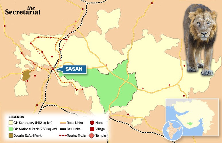 Tourism-Related Construction Booming Around Sasan Gir National Park, Many Violate Rules