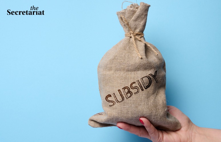 Interim Budget Provides Less For Subsidies in '24-25 Even As Spending Tops Budget Targets This Year 