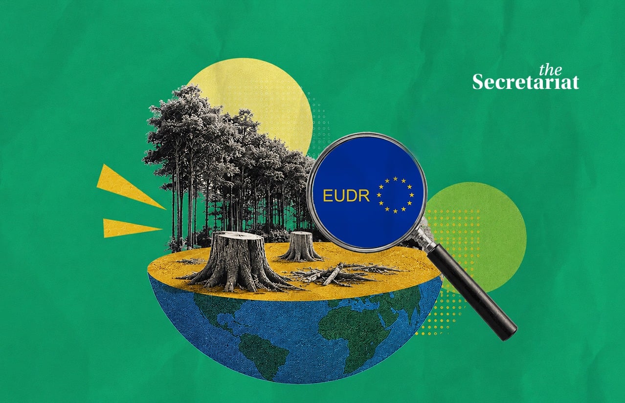 European Union, EU Deforestation Regulation, EUDR, MSME, MSMEs, Palm Oil, Cattle, Europe, Trade