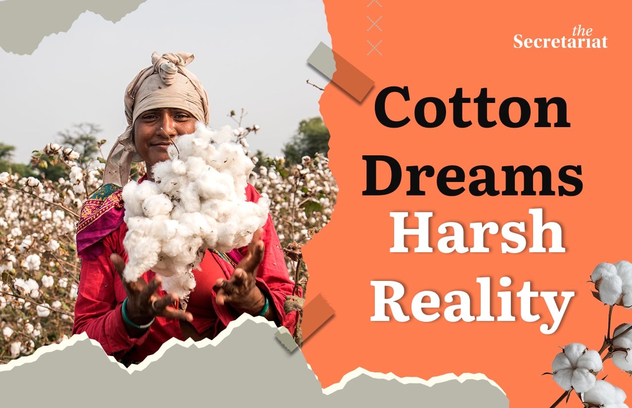 Cotton, India, productivity, farmers, textile industry, Kasturi Cotton Bharat 