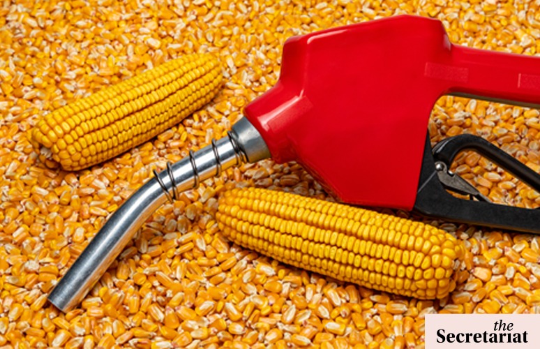 India's Ethanol Blending Programme Faces Serious Challenges