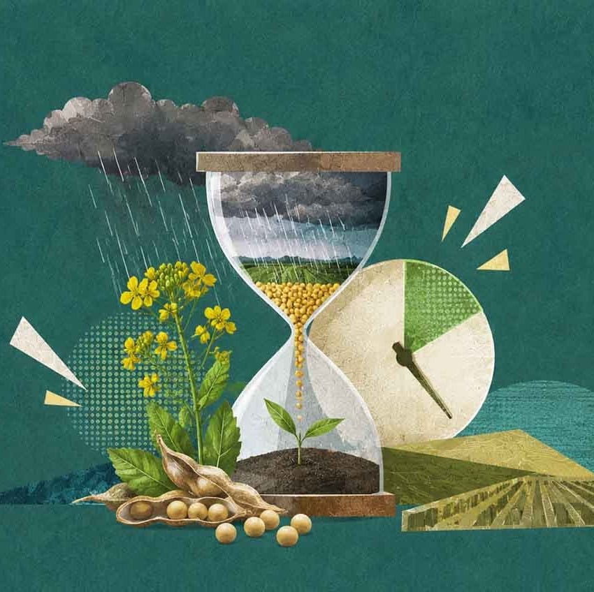 Oilseeds, Oilseed Farmers, Indian Monsoon, Oilseed Production, National Mission on Edible Oil