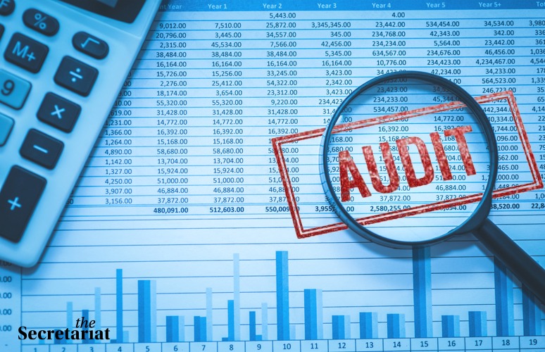 Auditing The Auditors: Drawing The Line On Corporate Fraud Accountability