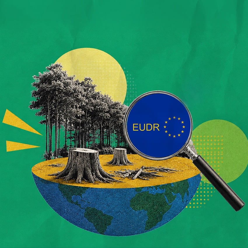 European Union, EU Deforestation Regulation, EUDR, MSME, MSMEs, Palm Oil, Cattle, Europe, Trade
