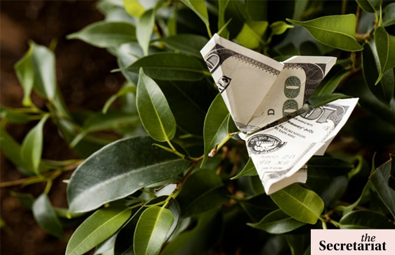 Lost In Transition: India's Climate Finance Taxonomy