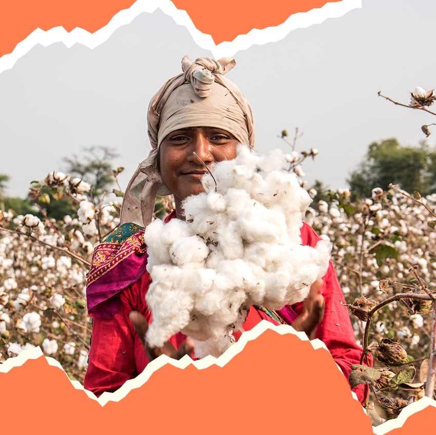Cotton, India, productivity, farmers, textile industry, Kasturi Cotton Bharat 