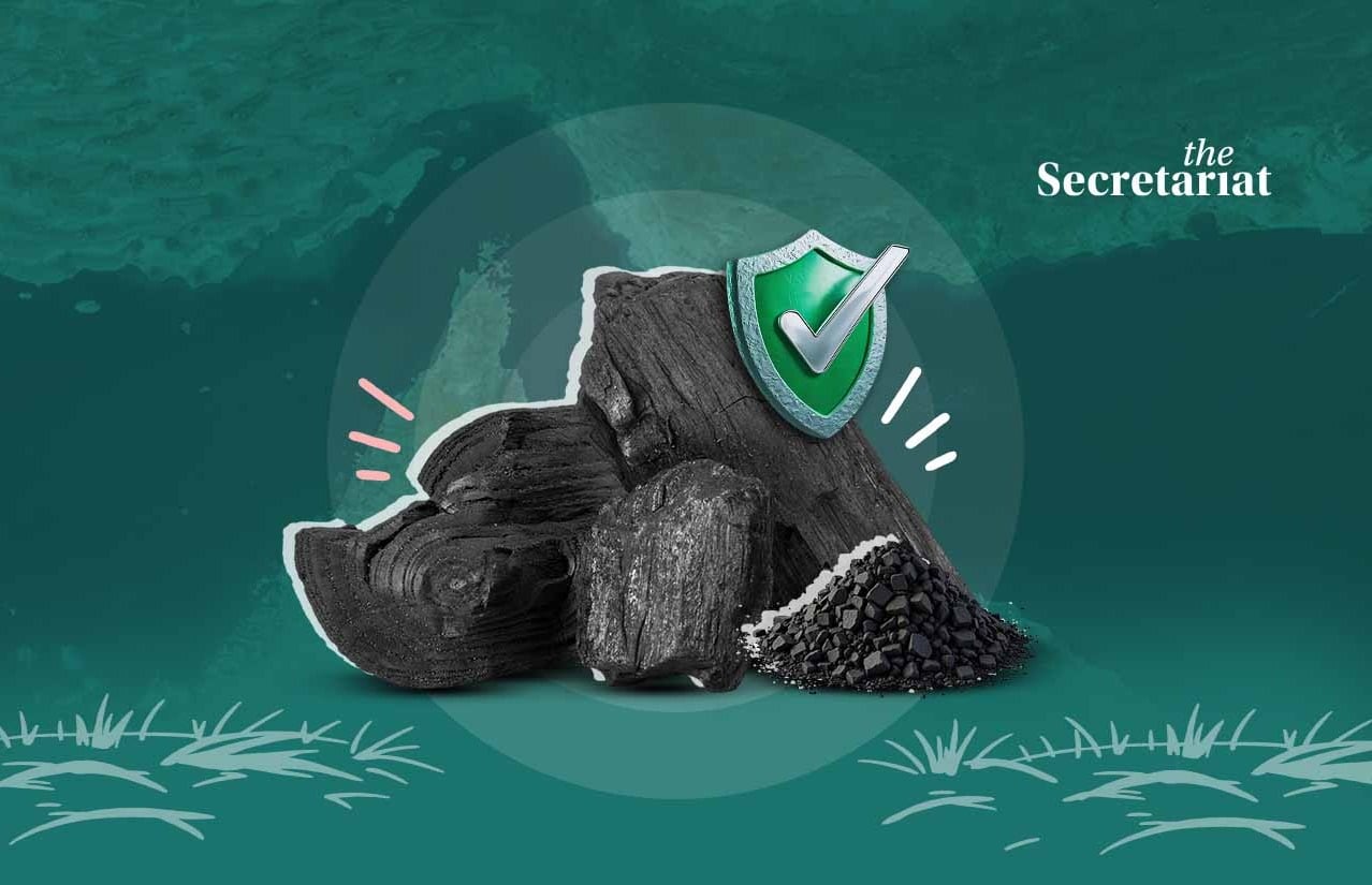 Energy Crisis, Coal, Strait Of Hormuz, Oil Supply, West Asia, West Asia Crisis, Energy Supply, Crude