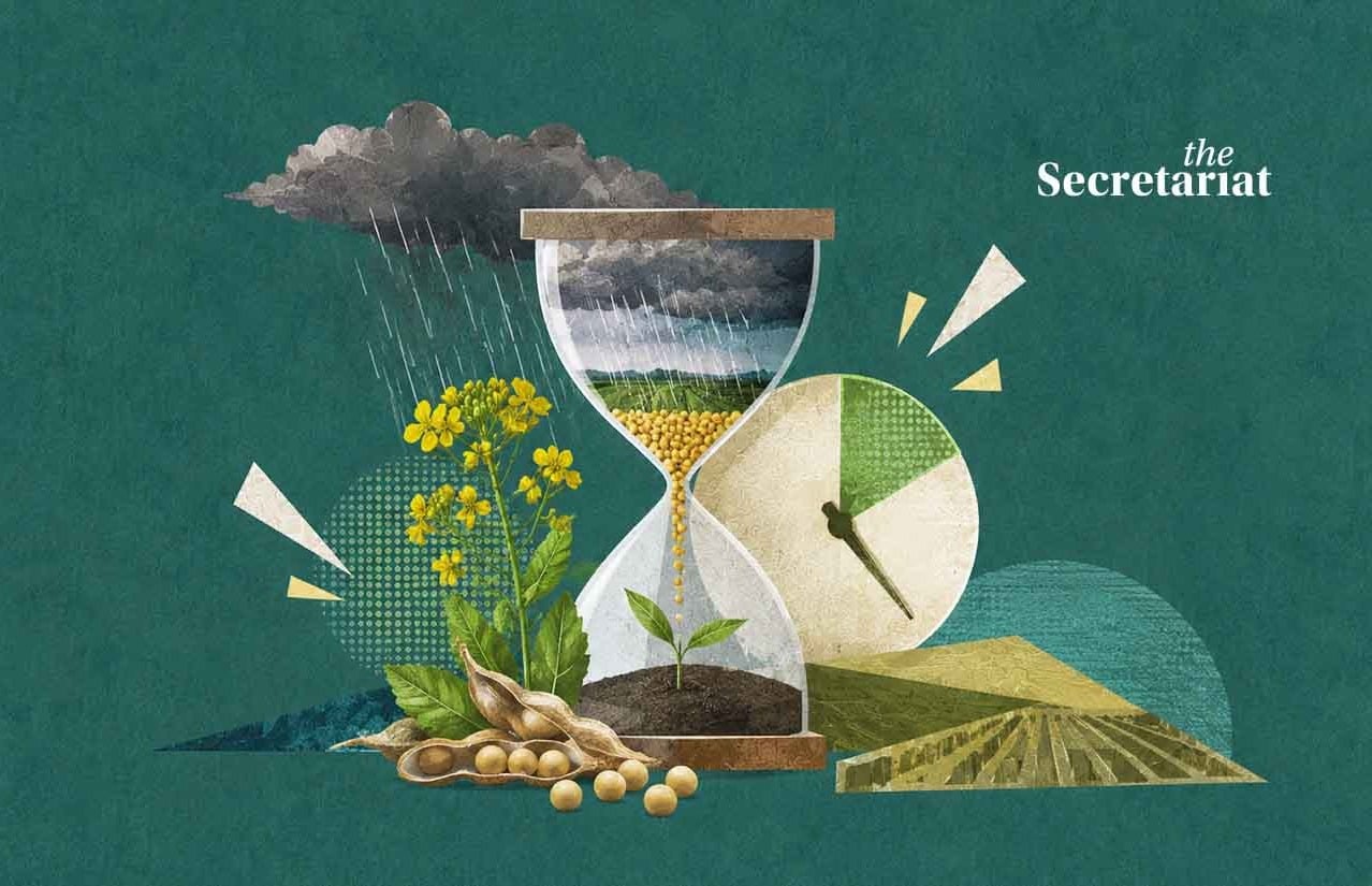 Oilseeds, Oilseed Farmers, Indian Monsoon, Oilseed Production, National Mission on Edible Oil