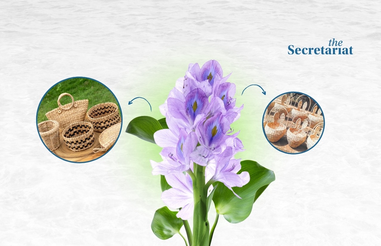 Water hyacinth, sustainability, climate change, weather impact, sustainable products, women artisans