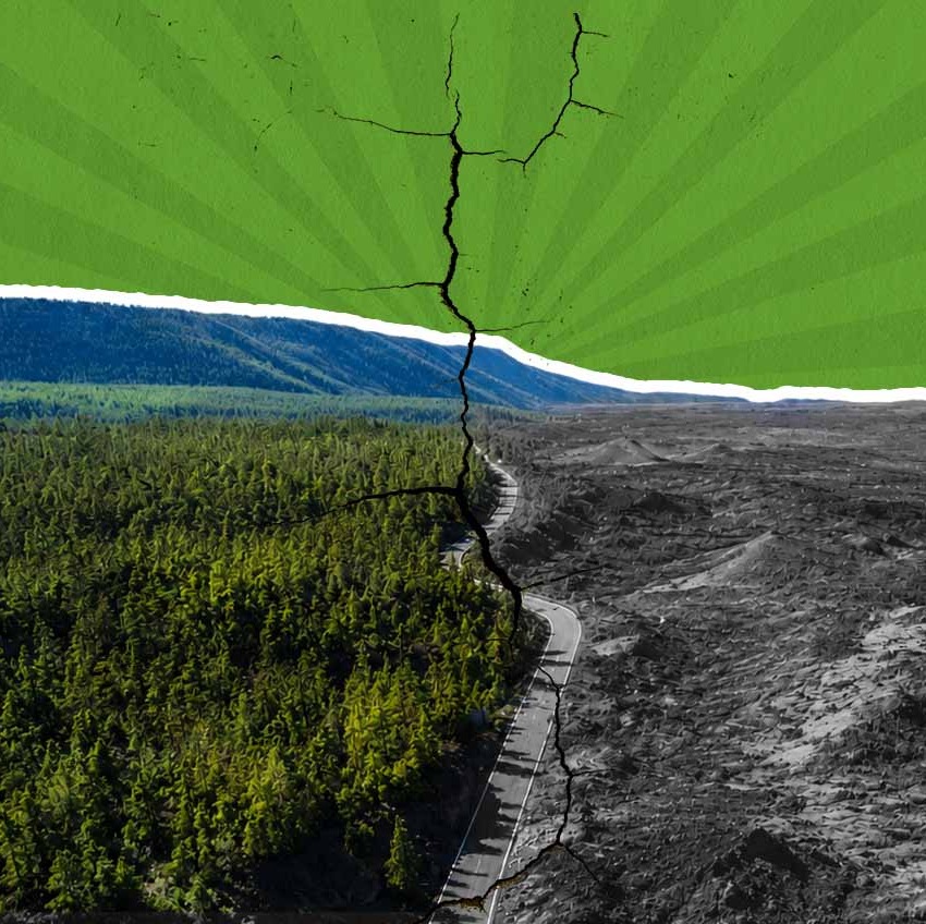 Forest Fragmentation, India Forests, ISFR 2023, Compensatory Afforestation, Biodiversity Loss