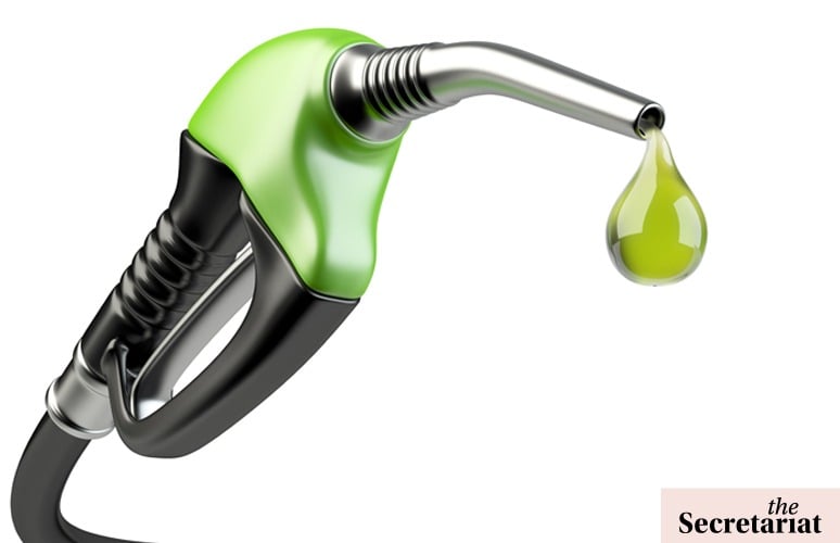 India Targets 20% Ethanol Blend By 2025; Where's The Roadmap?