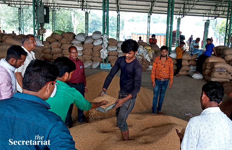 Debate Over MSP: The Success Of Amul Has A Few Lessons For The Government