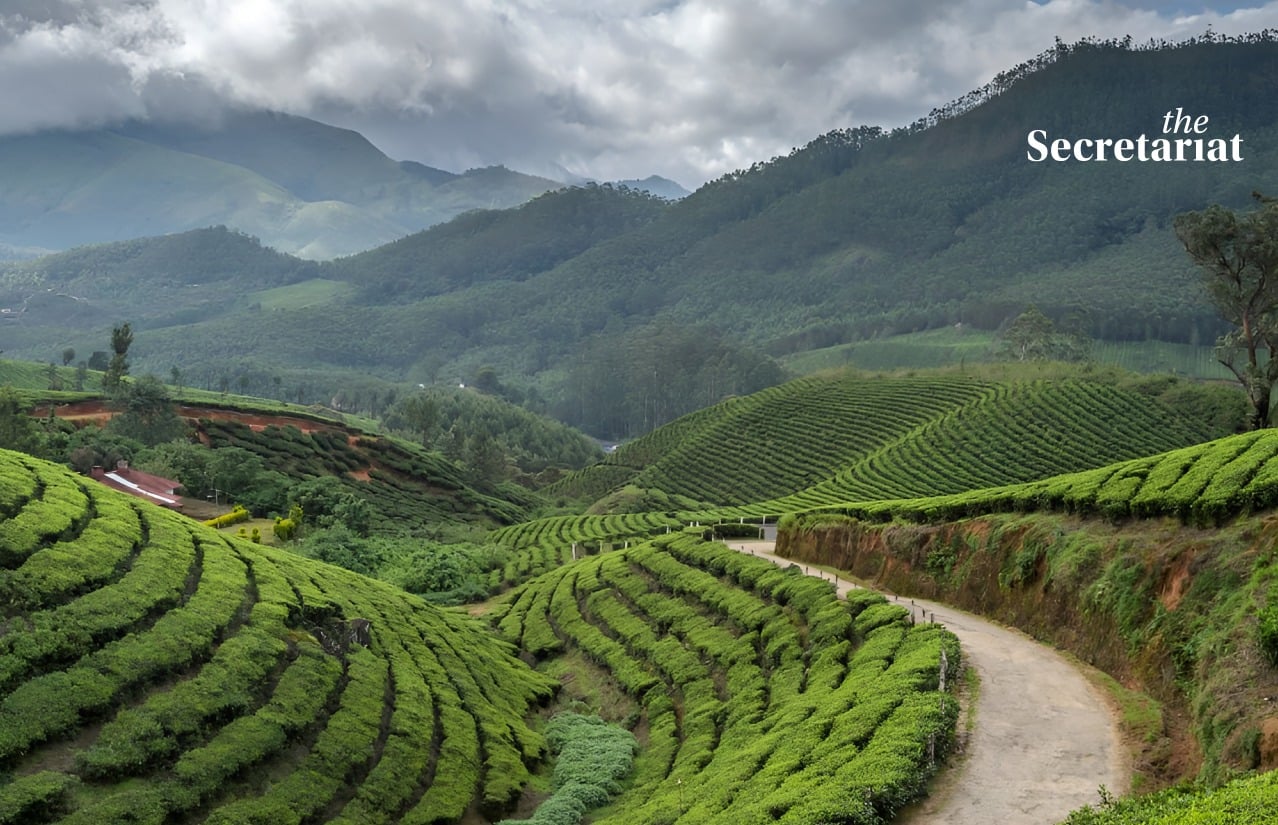 Travel, Infrastructure Finance, Tourism, Hotels, Sustainability