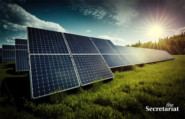 Solar Plants, Solar Grid, Renewable Energy, Solar Production, Net Zero, Power Generation, Solar