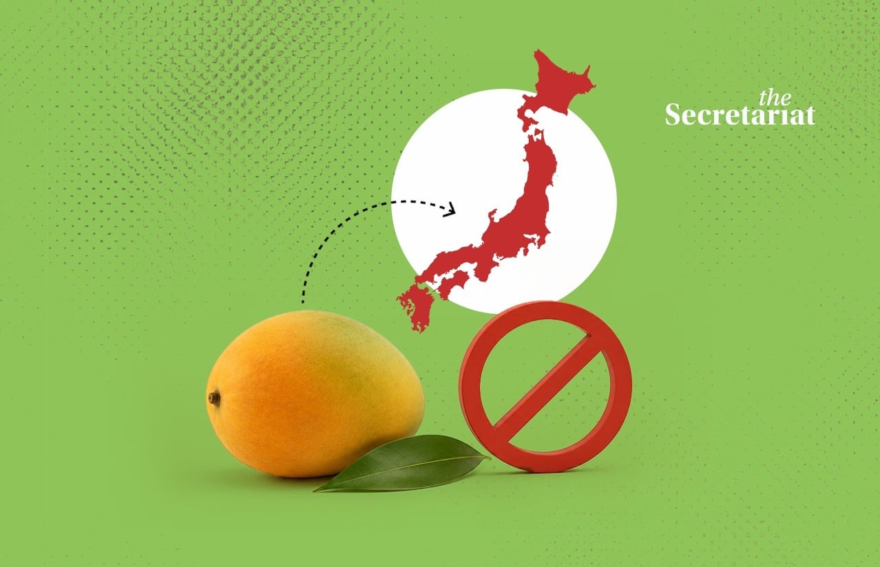 Indian Mango Export Rejection Raises Food Safety Concerns